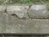 image of grave number 443875
